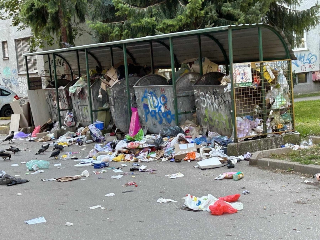 KATASTROFA U GLAVNOM GRADU Pacovi ugrozili Sarajlije, od leptospiroze se može i umrijeti